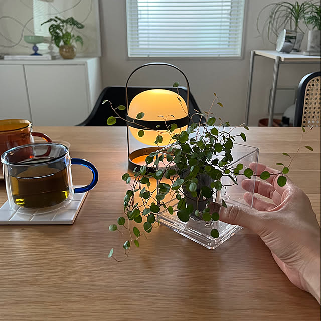 chiiさんの部屋