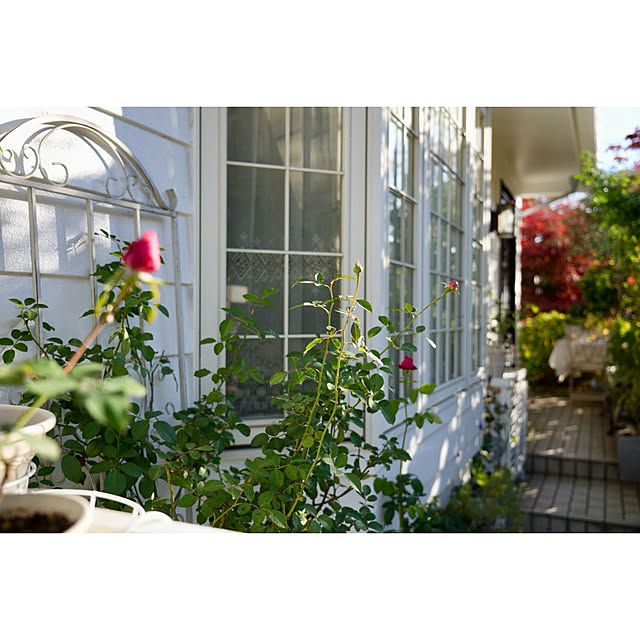 haruisabelさんの部屋