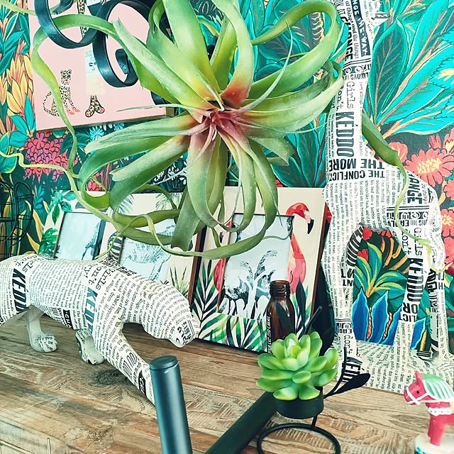 nacchanさんの実例写真