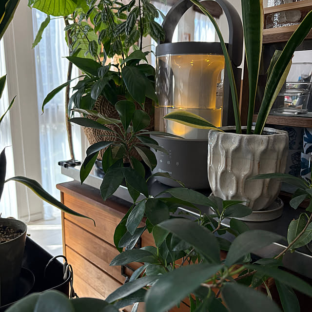 kojimasaさんの部屋