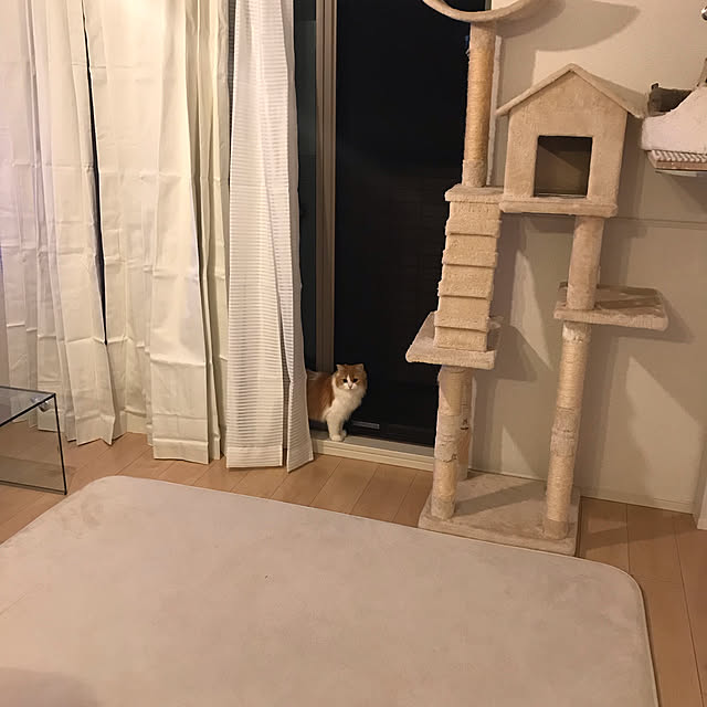 H.Tさんの実例写真