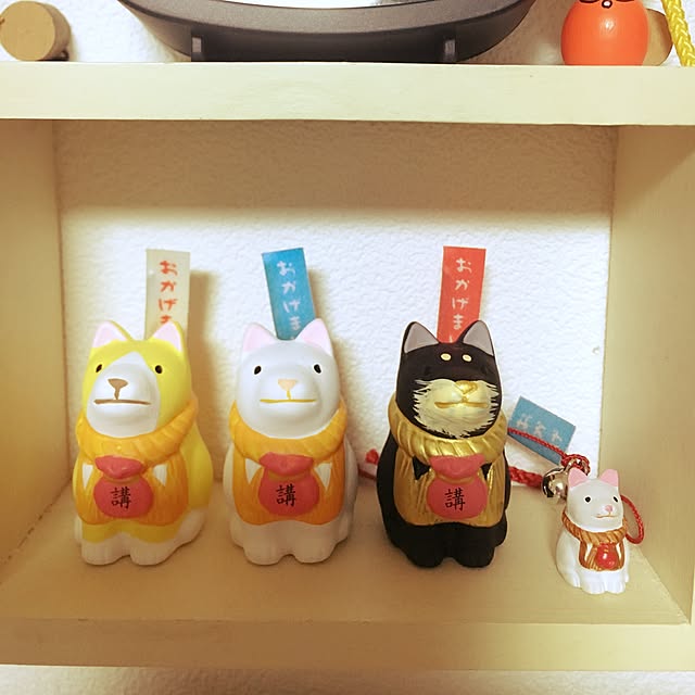 yuuさんの実例写真