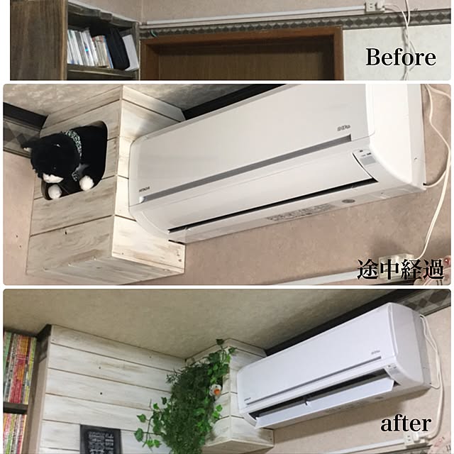 bitzchaさんの実例写真