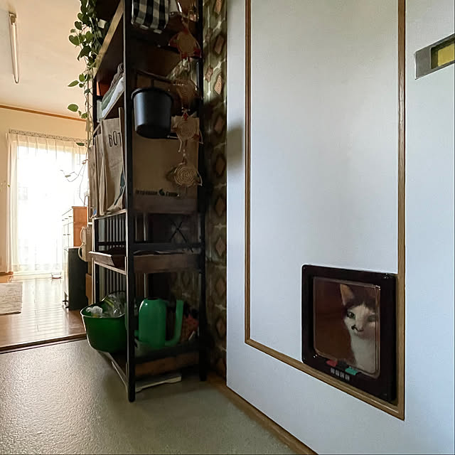 nobikoさんの部屋