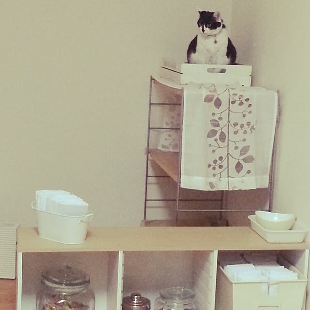 aquixxxさんの実例写真