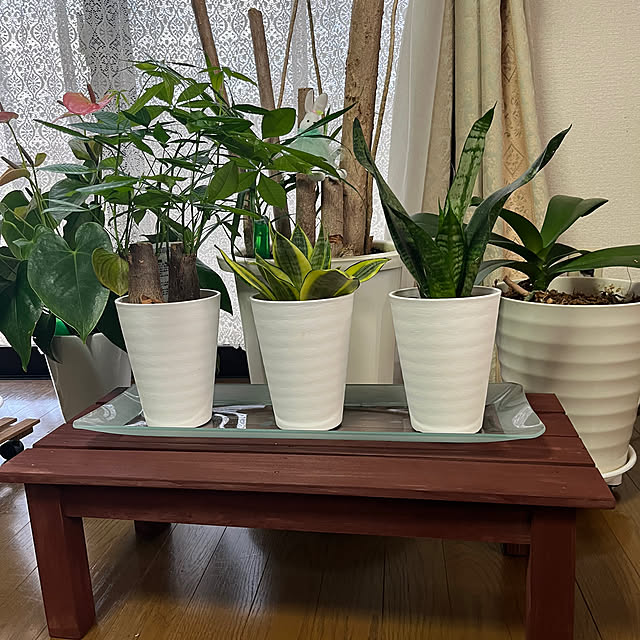ritsukoさんの部屋