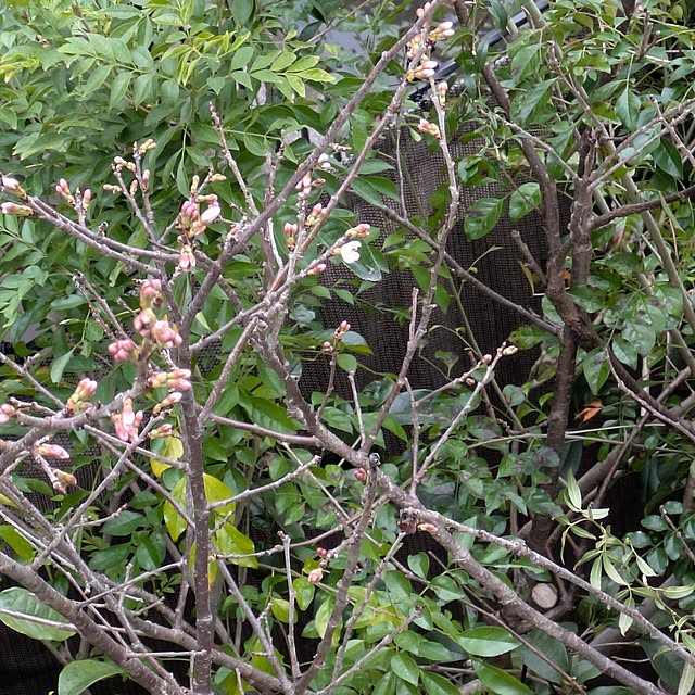 mori_6_12さんの部屋