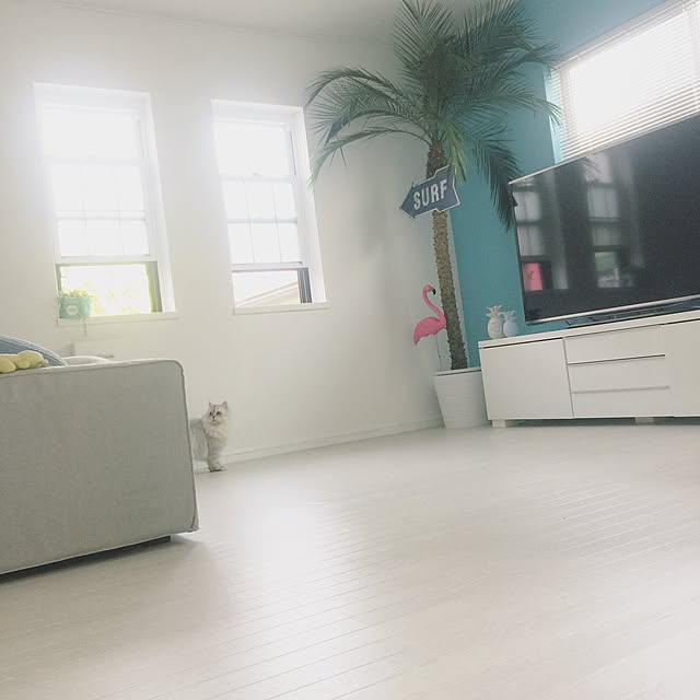 cocoさんの実例写真