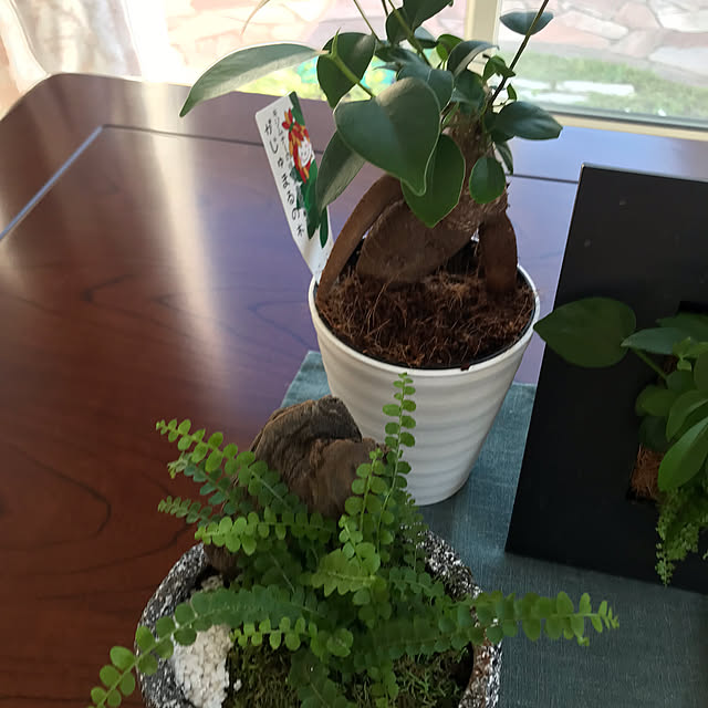 msさんの部屋