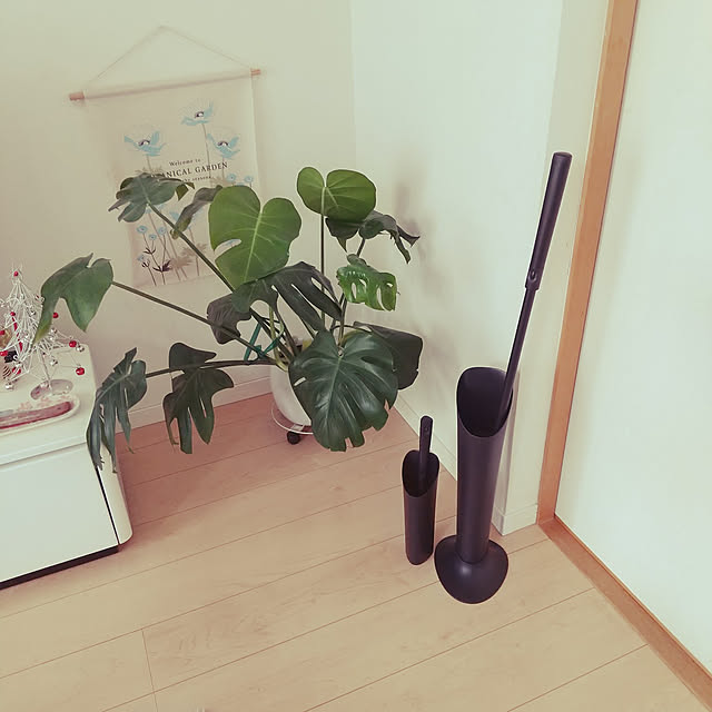ai-nyanko.さんの実例写真