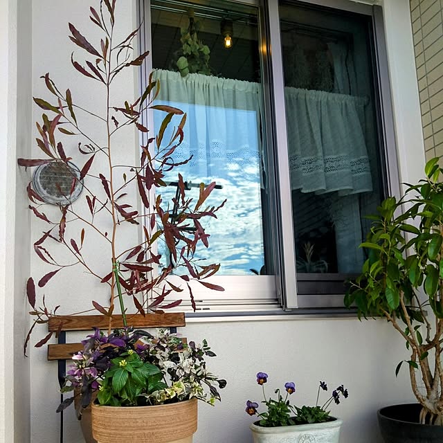 kerochanさんの部屋