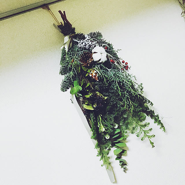 実例写真