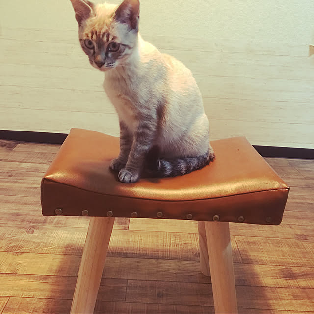 Namikoさんの実例写真
