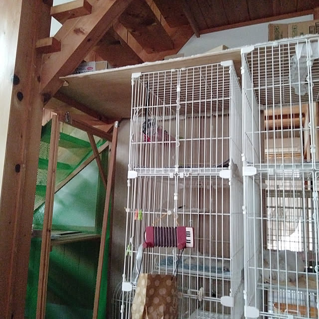 makaronさんの実例写真