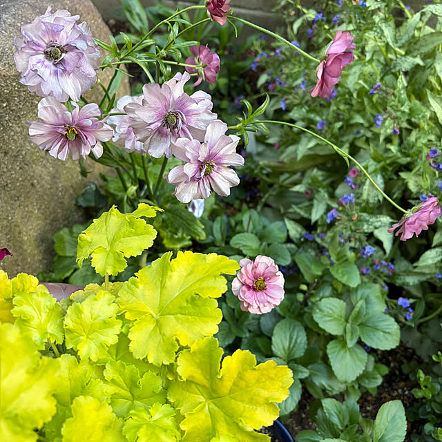 buchiさんの部屋