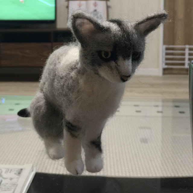 Kyoko.さんの実例写真