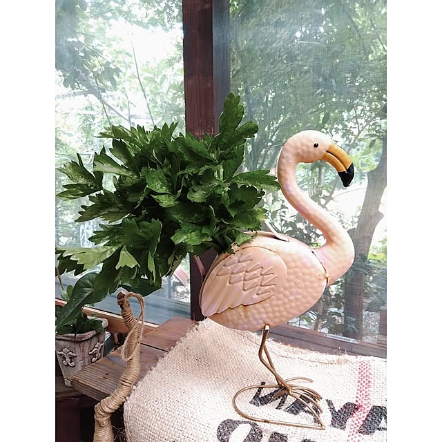 bonitoさんの実例写真