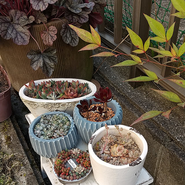 Renさんの実例写真