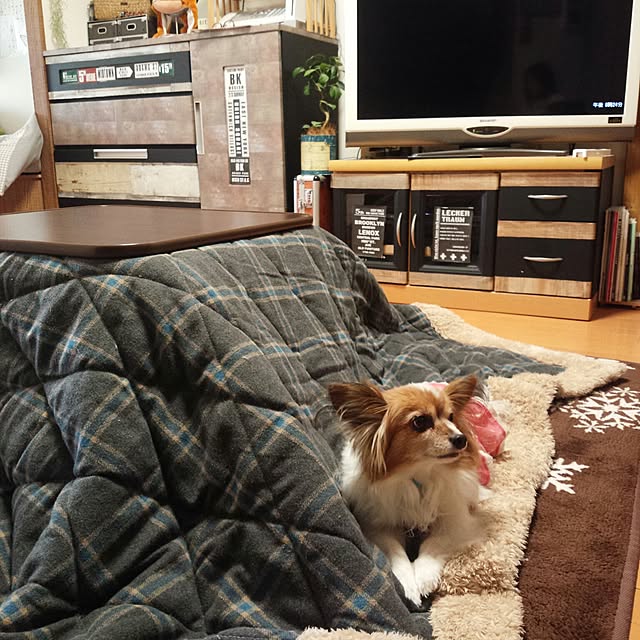Kaさんの実例写真