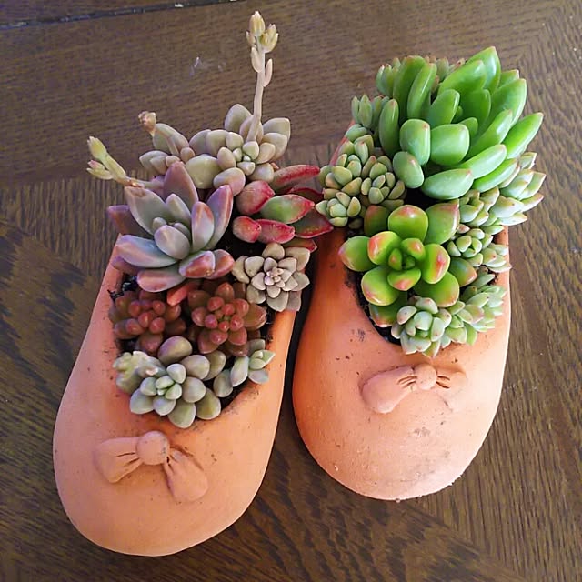akoさんの実例写真