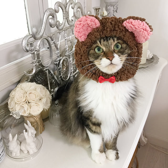 yuchiさんの実例写真