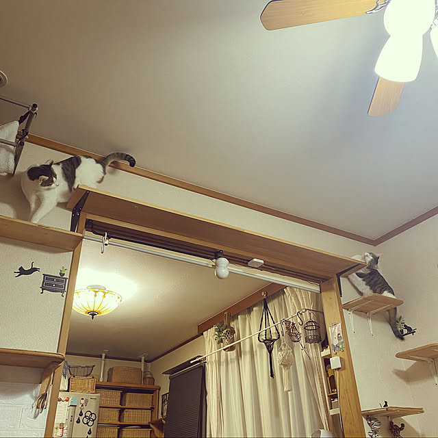 Lufuさんの実例写真