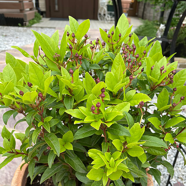 ronronさんの部屋