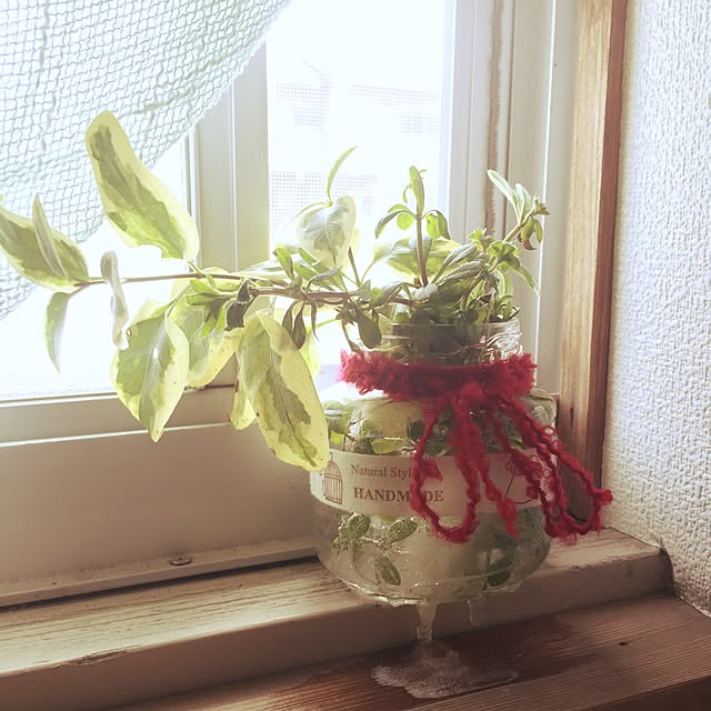 Ekaterinaさんの実例写真
