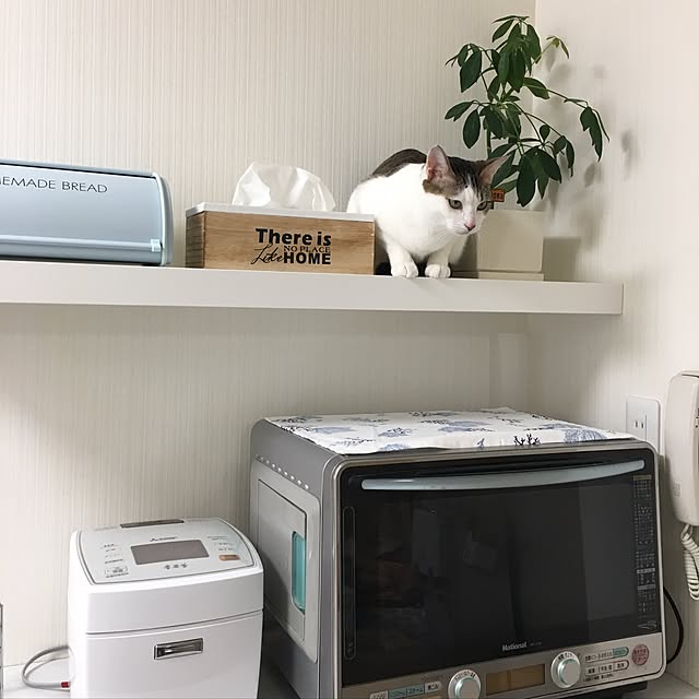 chachukomaさんの実例写真