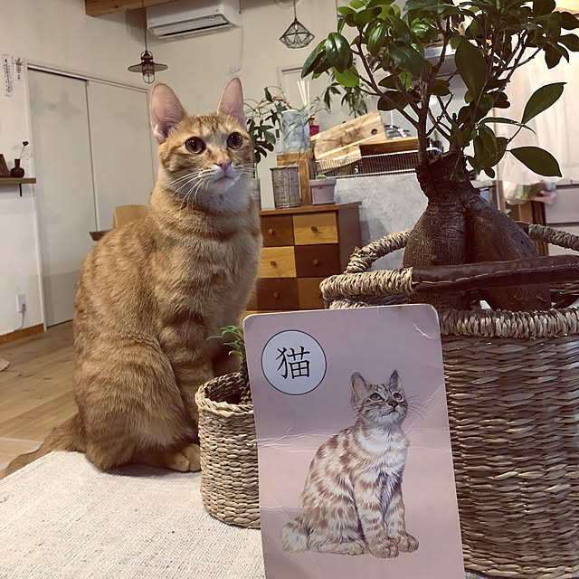 takakoさんの実例写真