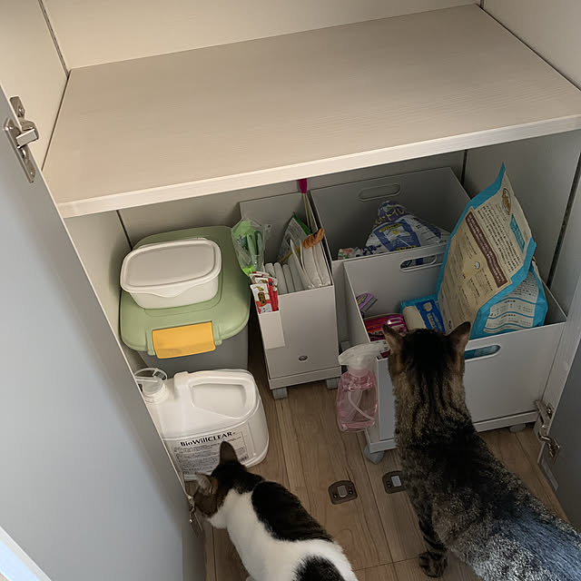 neko_daisukiさんの実例写真