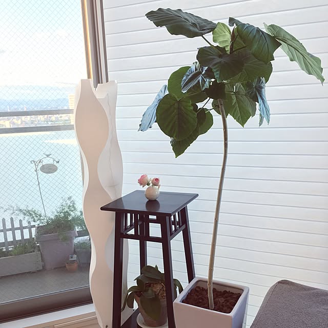 greenさんの実例写真