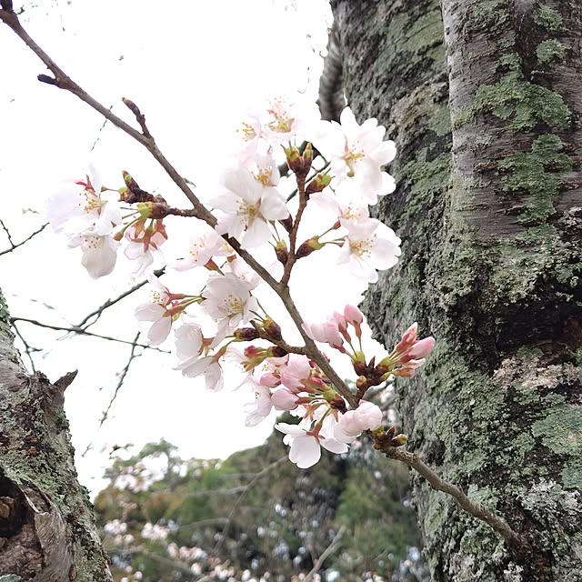 katさんの部屋
