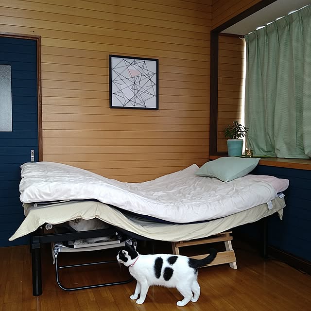 kiyohima229さんの実例写真