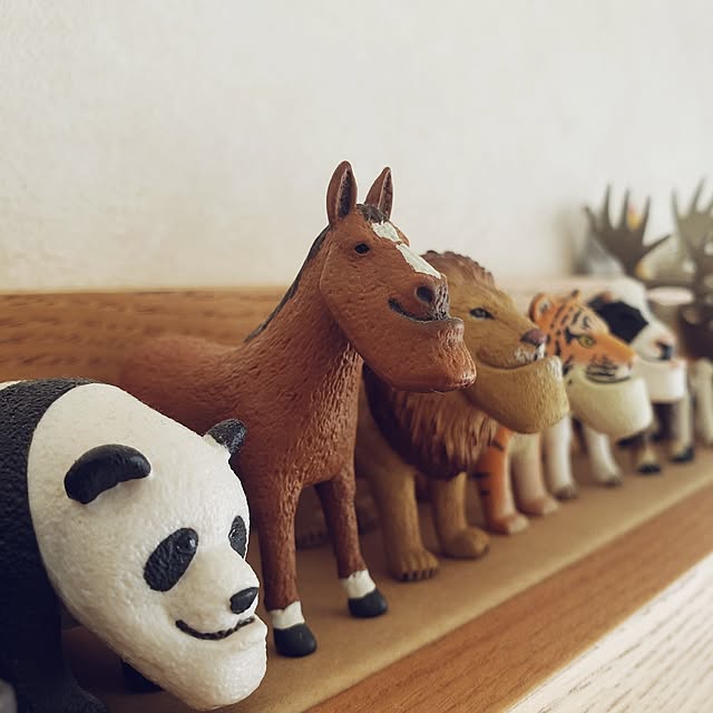 wanidaさんの部屋