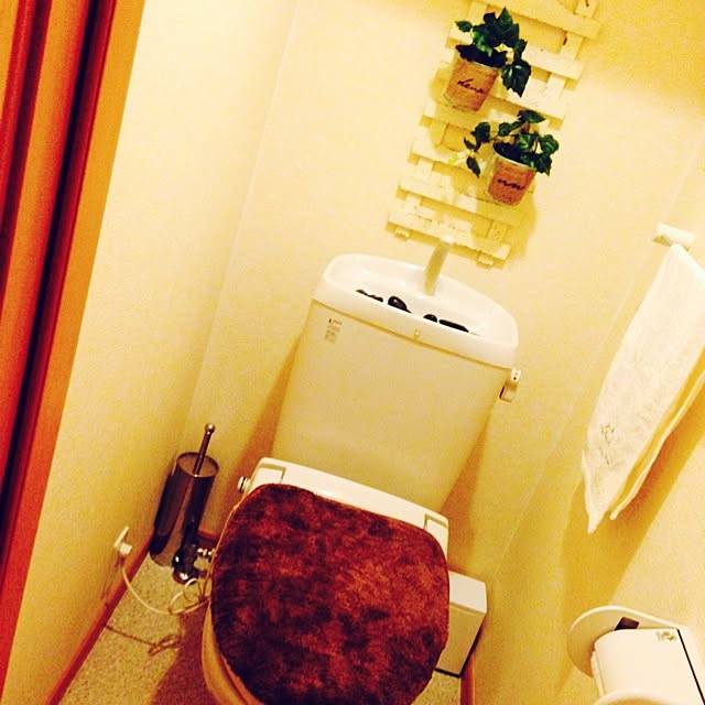 731xoxoさんの実例写真