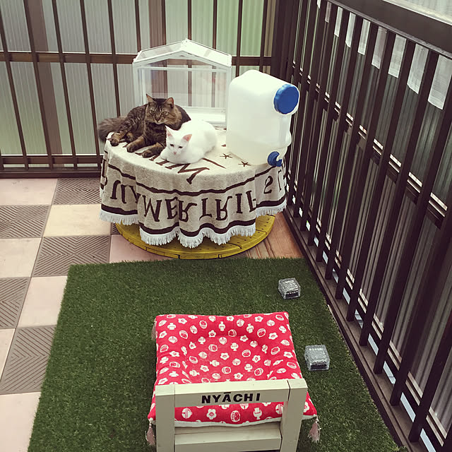 oniyomeさんの実例写真