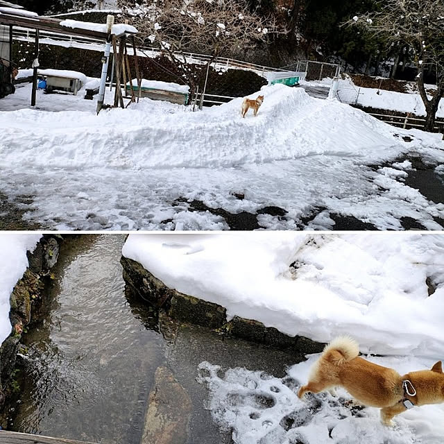 kan1856さんの実例写真