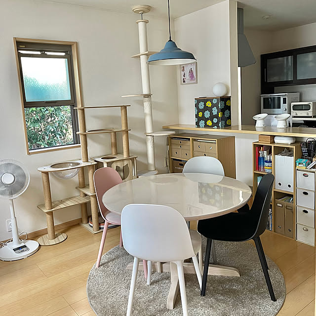 リビング/ラウンドテーブル/2025年/多頭飼い/ねこのいる日常...などのインテリア実例 - 2025-12-13 21:47:19