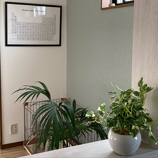 plameden15さんの実例写真