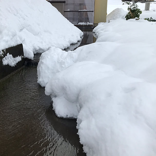 aoinokimiさんの部屋