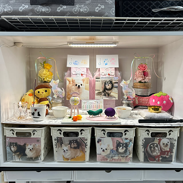 meguさんの実例写真