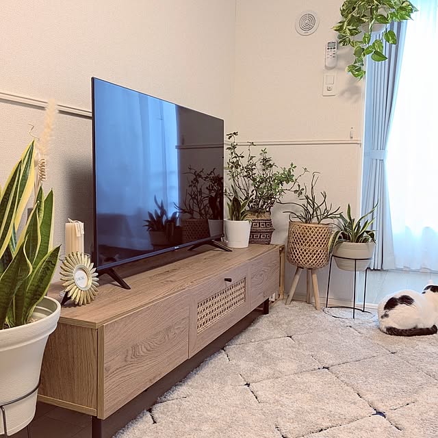 kumiさんの部屋