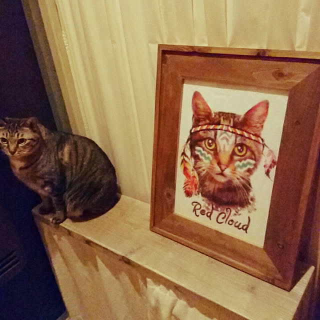 rioさんの実例写真
