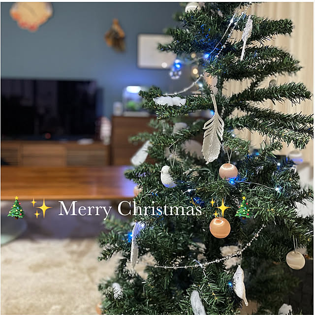 クリスマス/リビングのインテリア実例 - 2021-12-24 21:33:51