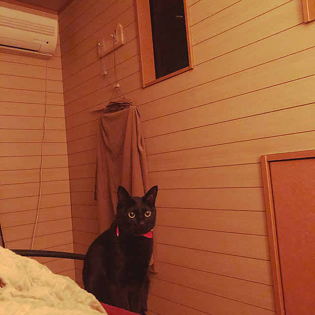 jijiさんの実例写真