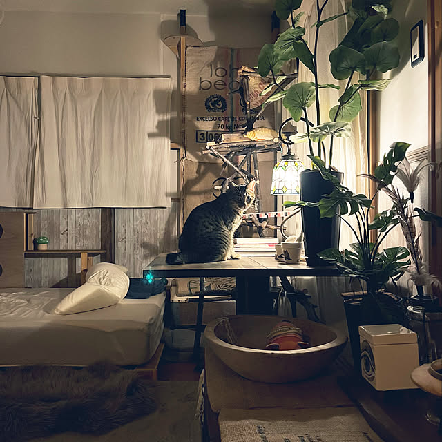 Mさんの実例写真