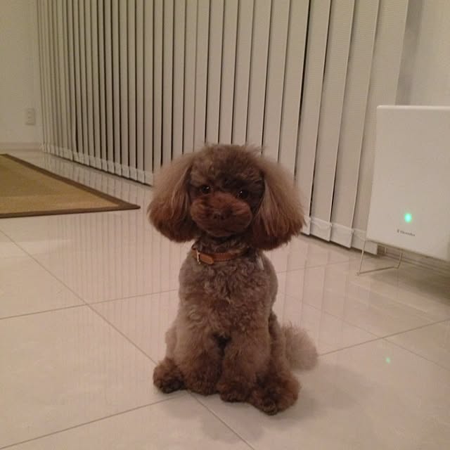FXさんの実例写真