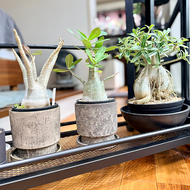 nuruiさんの実例写真