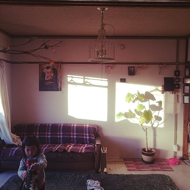 Ayakoさんの実例写真